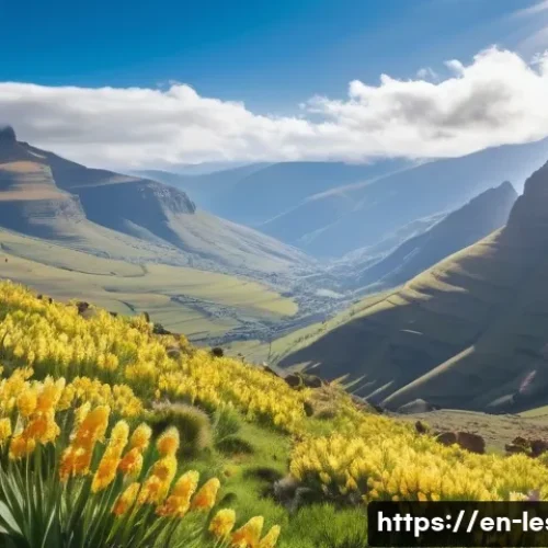 레소토 자연 보호구역 - A breathtaking panoramic view of Lesotho’s alpine highlands during spring, featuring vast meadows fi...