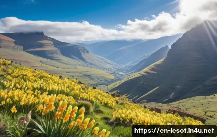 레소토 자연 보호구역 - A breathtaking panoramic view of Lesotho’s alpine highlands during spring, featuring vast meadows fi...